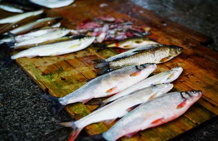 Как избавиться от запаха рыбы народными средствами