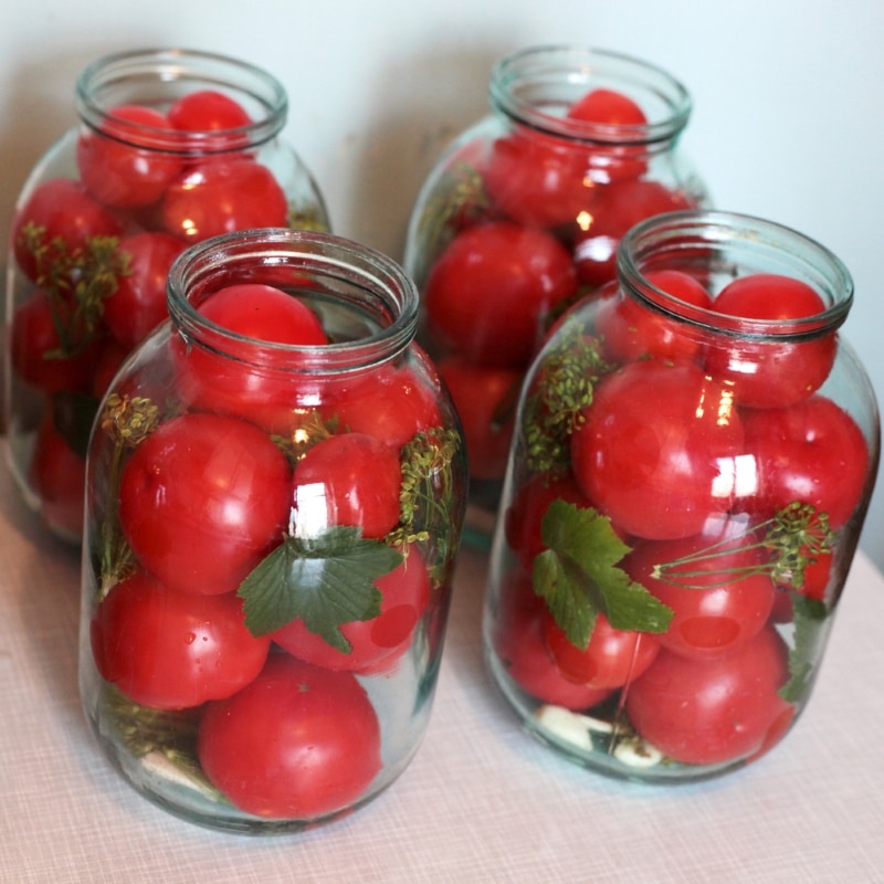 малосольные помидоры